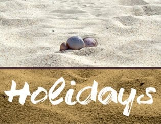 Holidays 2 V